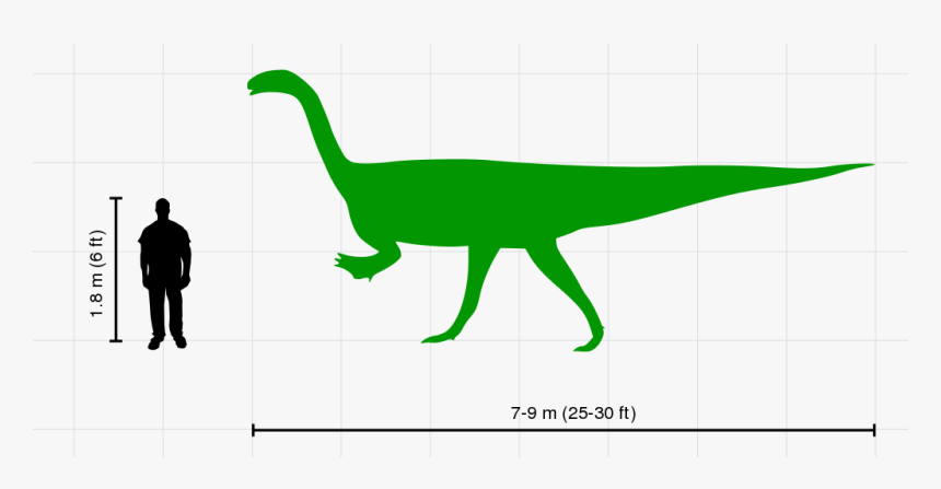 30 Ft Size Comparison, HD Png Download, Free Download