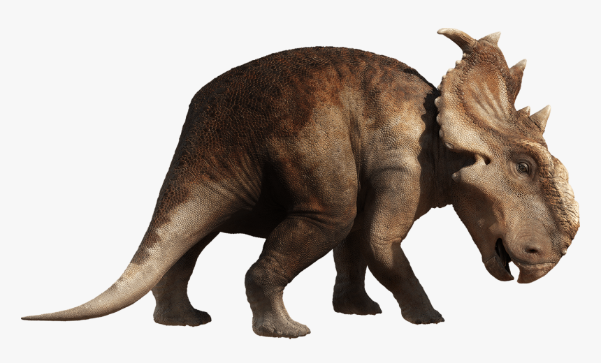 Dinosaur Free Download Png - Dinosaur Png, Transparent Png, Free Download