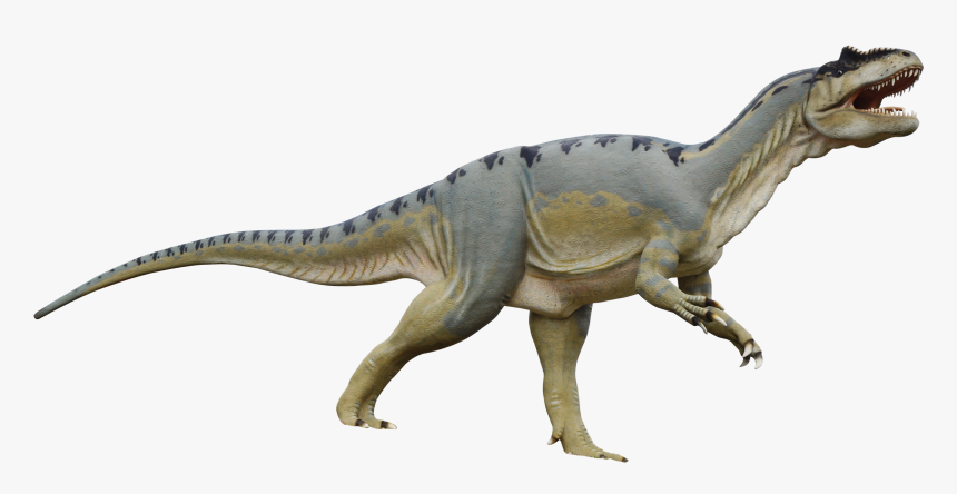 Dinosaur Png Free Download - Transparent Background Dinosaur Png, Png Download, Free Download