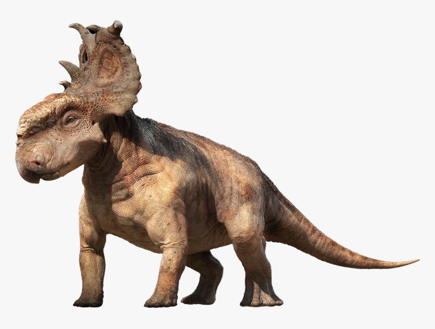 Dinosaur Png - Dinosaur Pachyrhinosaurus, Transparent Png, Free Download