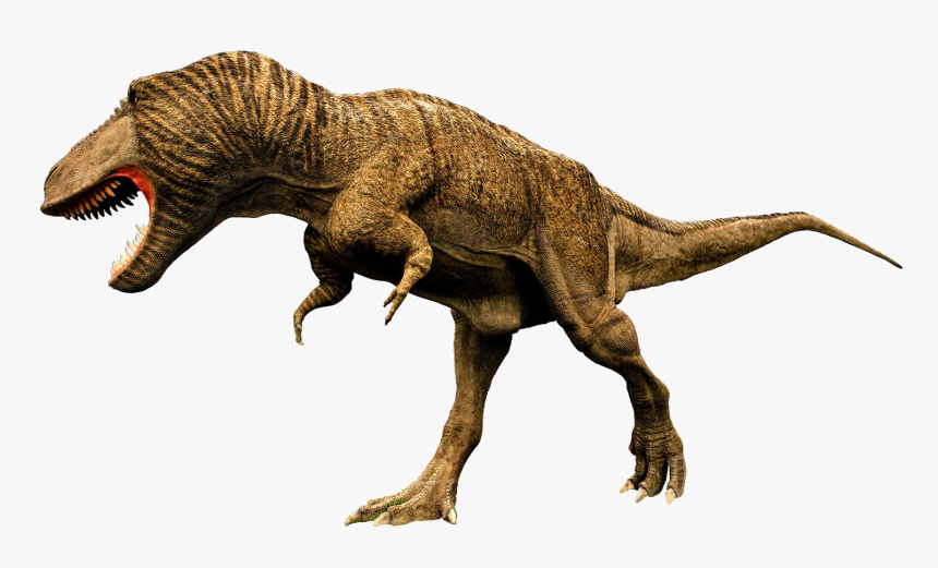 Tyrannosaurus Rex Png Picture - T Rex Image Png, Transparent Png, Free Download