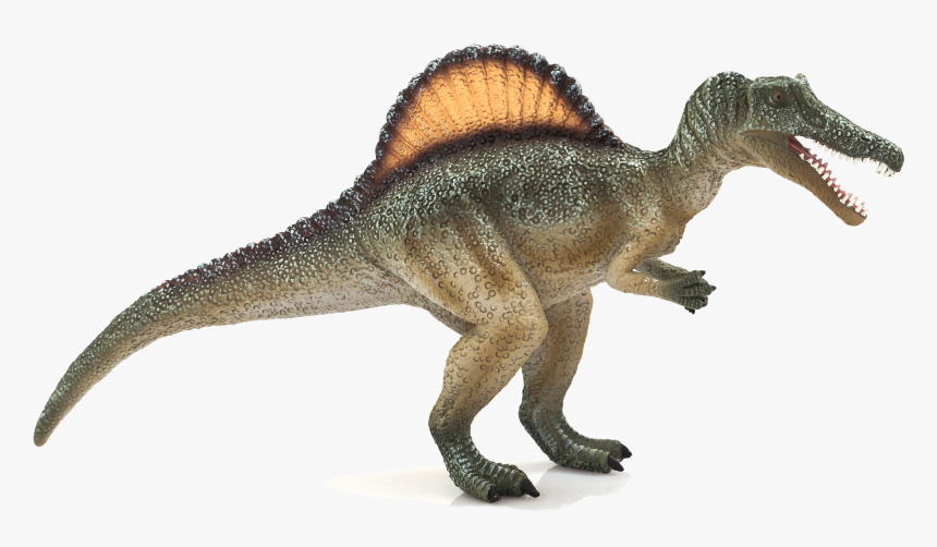 Dinosaur Spinosaurus, HD Png Download, Free Download