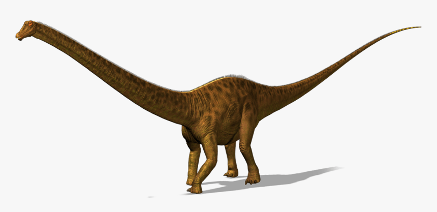 Dinossauro Diplodoco Png, Transparent Png, Free Download