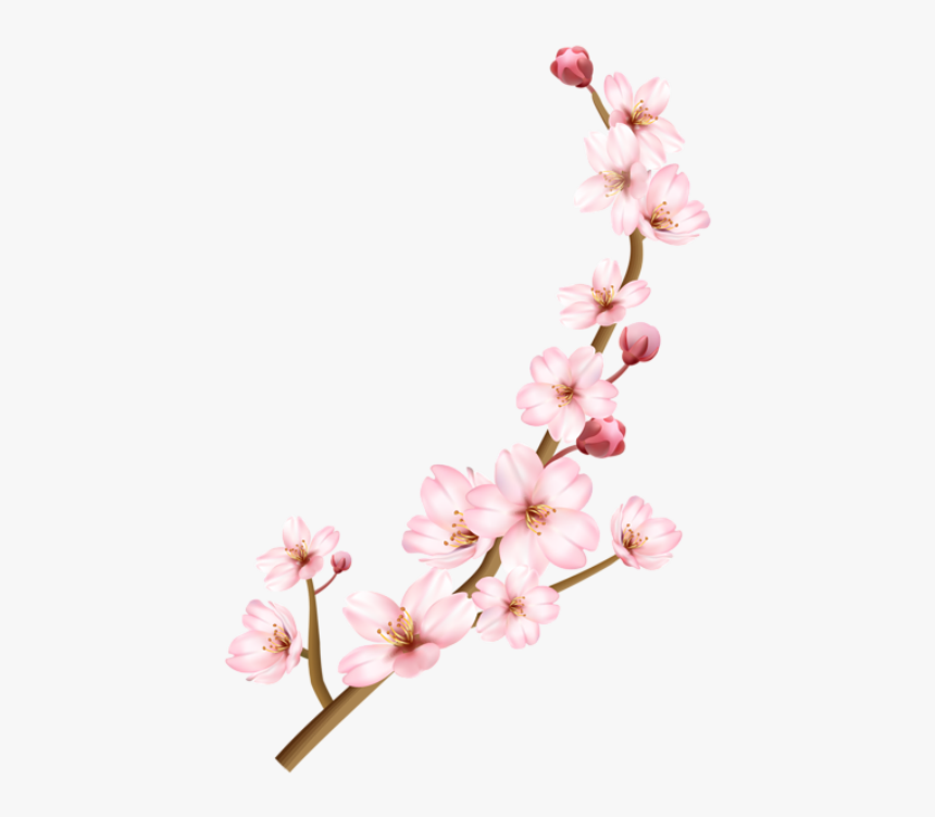 Flor Bonita Rosa 4 - Cherry Blossoms Transparent Background, HD Png Download, Free Download