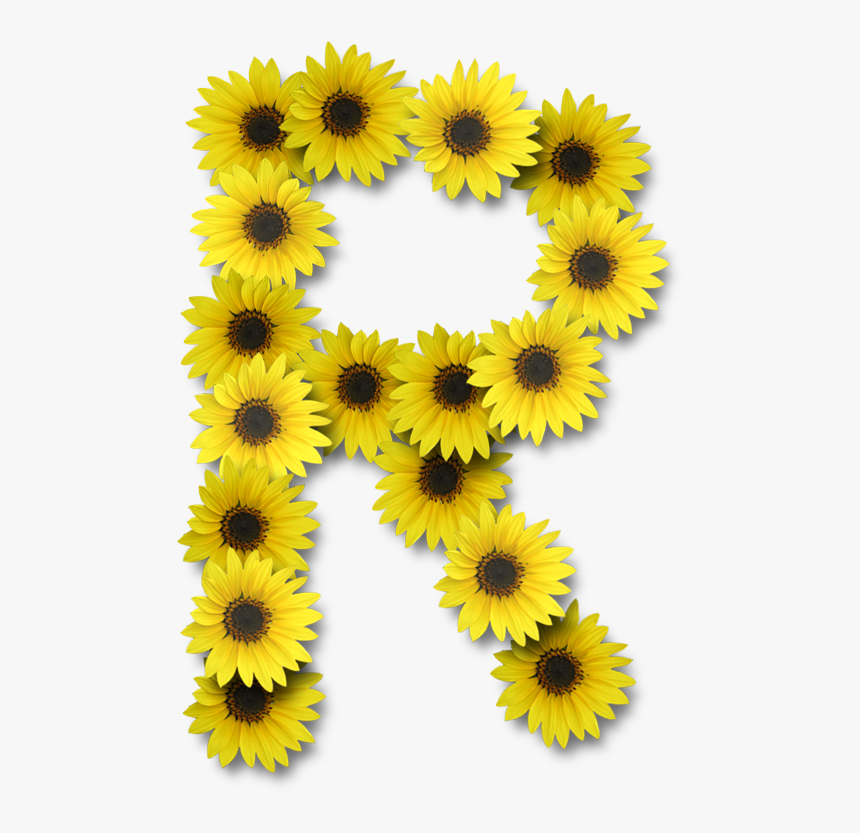 Letra R Con Girasoles, HD Png Download, Free Download