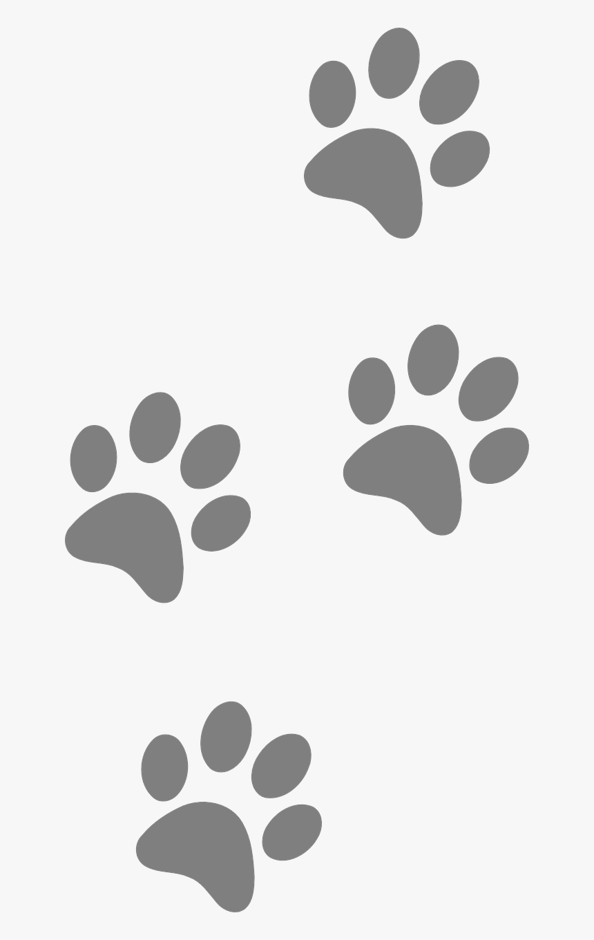 Footprints, Animal, Dog, Paw, Cat, Silhouette, Pattern - Blue And Gold Paw Print, HD Png Download, Free Download