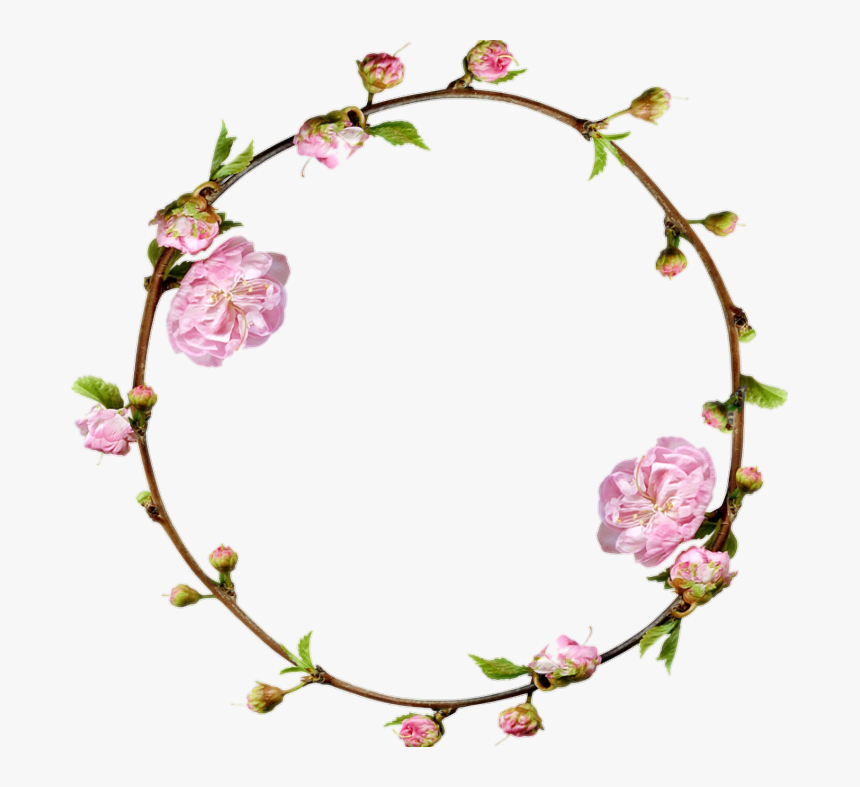 #collage #arco #balloon #flower #flor #flores #rosa - Flower Frame Circle Png, Transparent Png, Free Download