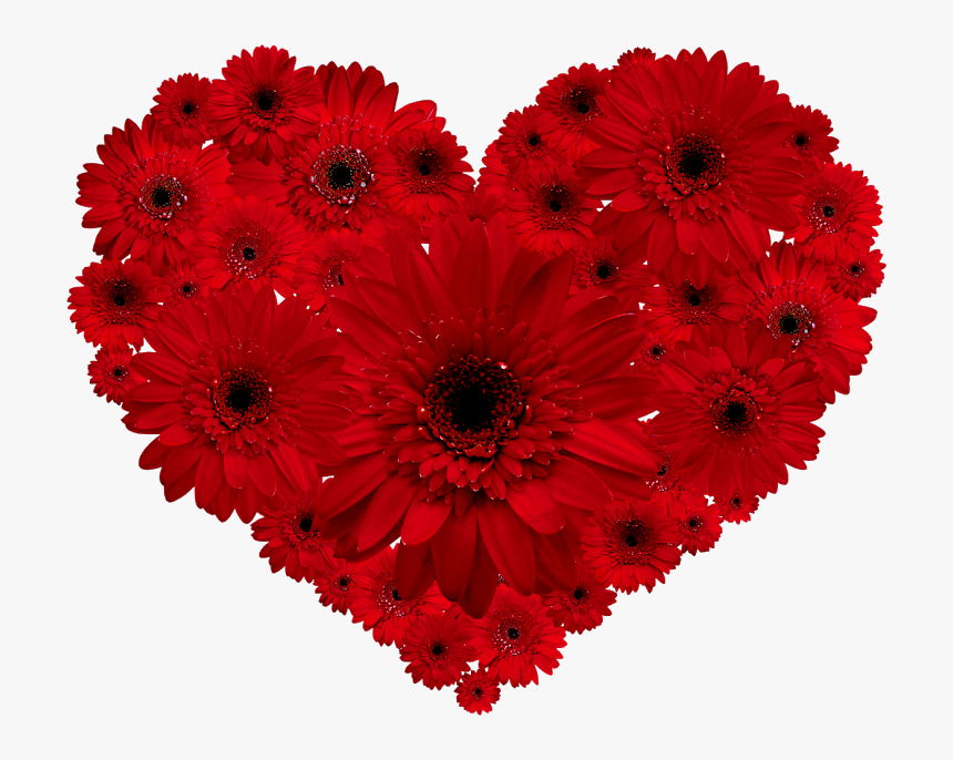 Flores Vermelhas Flores Formando Um Cora誽o Fotogr - Corazon Feliz Dia Mama, HD Png Download, Free Download