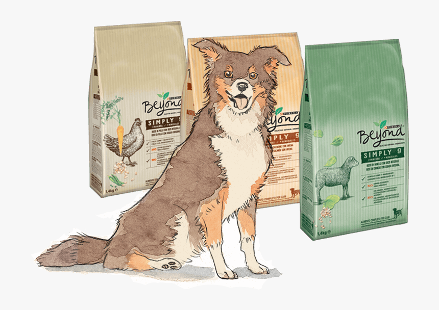 Purina Kutyatáp, HD Png Download, Free Download