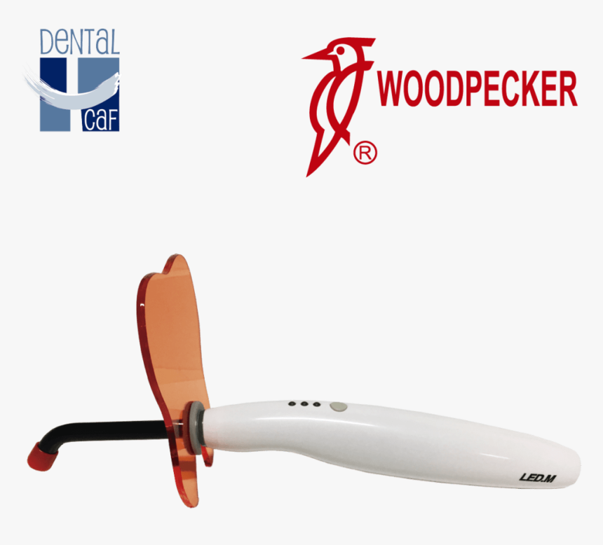 Woodpecker Dental Logo, HD Png Download, Free Download
