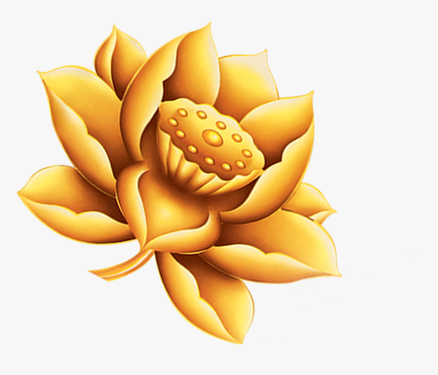 Transparent Kompass Clipart - Goldenlotus Png, Png Download, Free Download