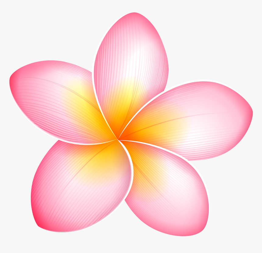 Pink Exotic Flower Png Clip Art - Pink Tropical Flower Clipart, Transparent Png, Free Download
