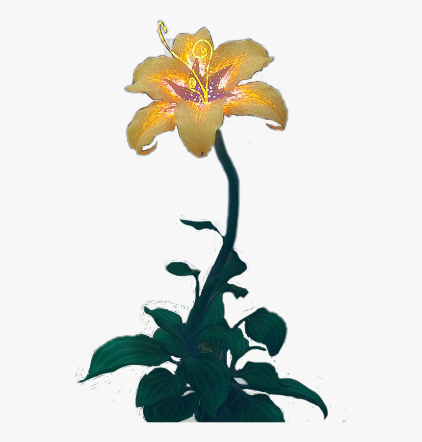 #goldenflower #disney #tangled - Lily, HD Png Download, Free Download