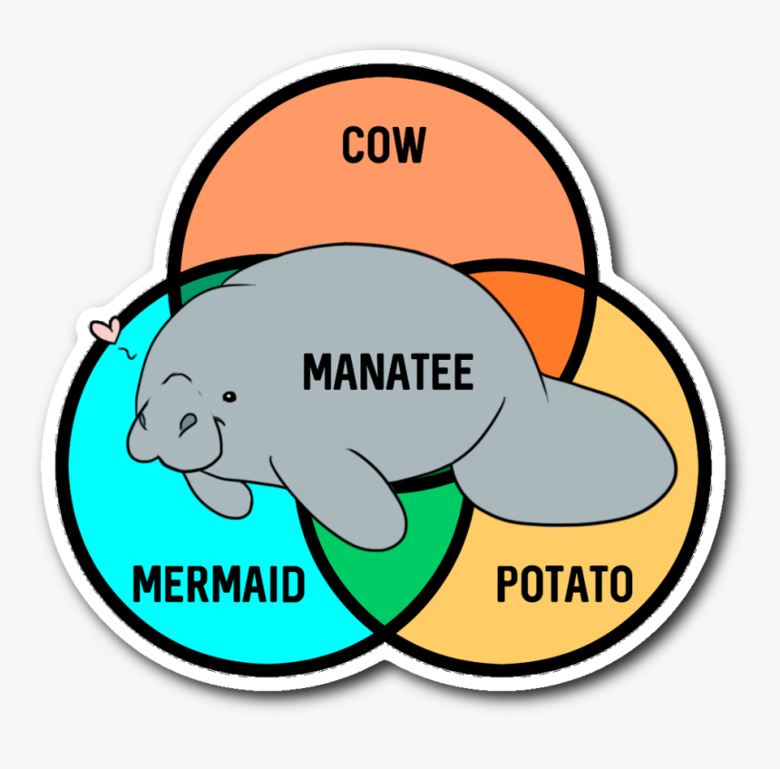 Manatee Cow Mermaid Potato Clipart , Png Download - Sea Cow Mermaid Manatee, Transparent Png, Free Download