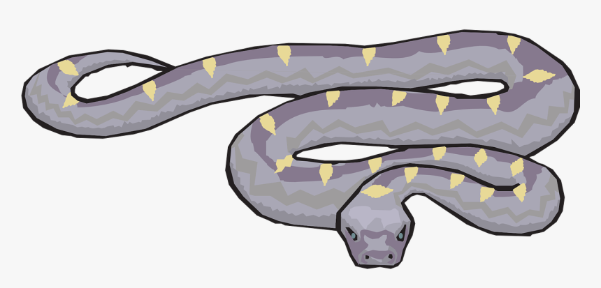 Draw A Slithering Snake, HD Png Download, Free Download