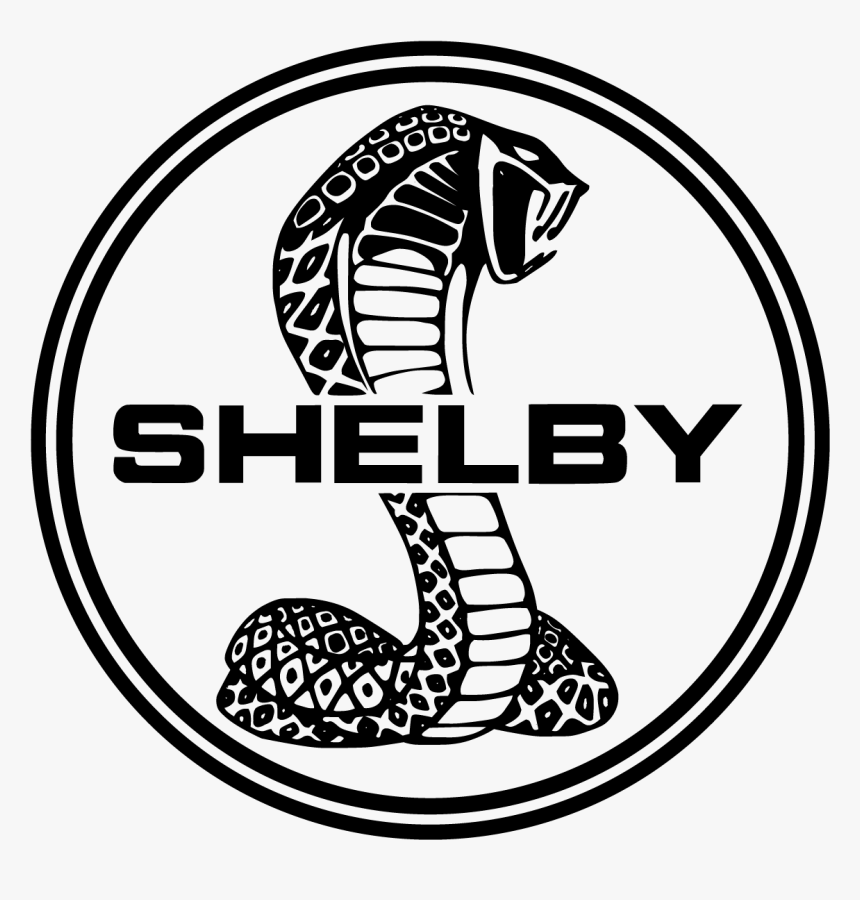 Shelby Logo Vector - Ford Shelby Logo, HD Png Download, Free Download