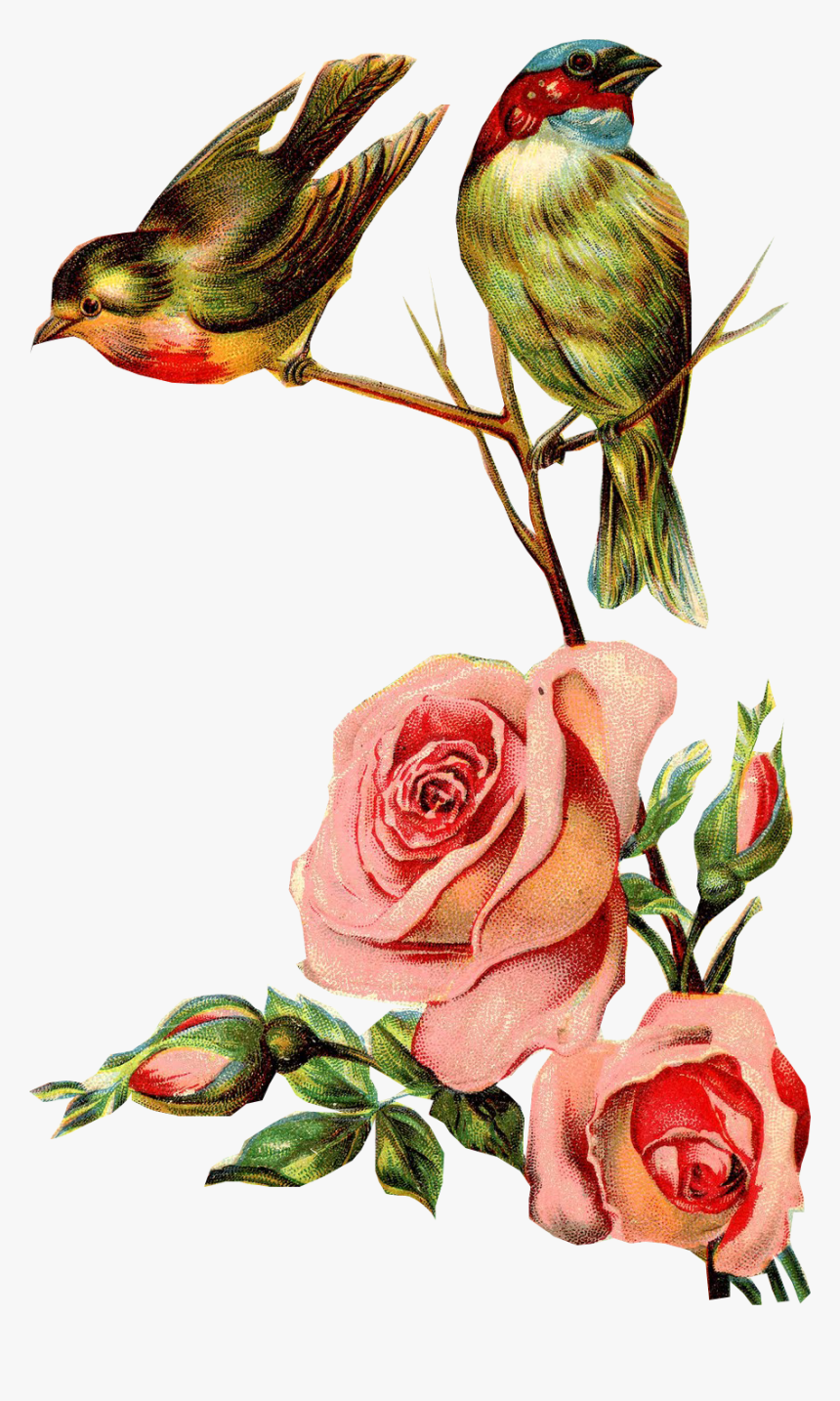 Flores Y Pajaritos Vintage Png, Transparent Png, Free Download