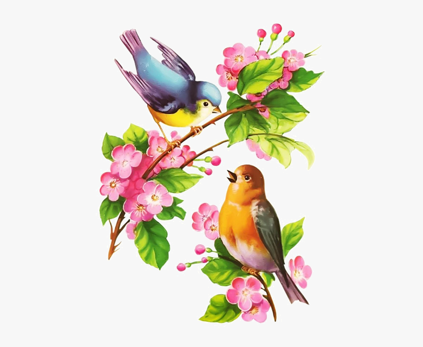 Beautiful Birds In Spring, HD Png Download, Free Download