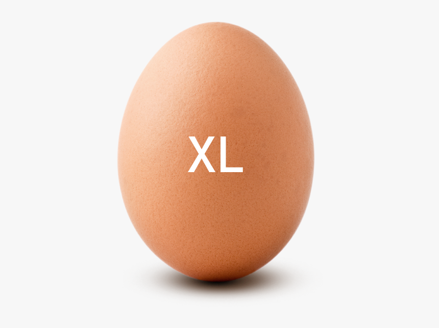 Egg Sizes Extra Large - Megas Xlr Coop, HD Png Download, Free Download