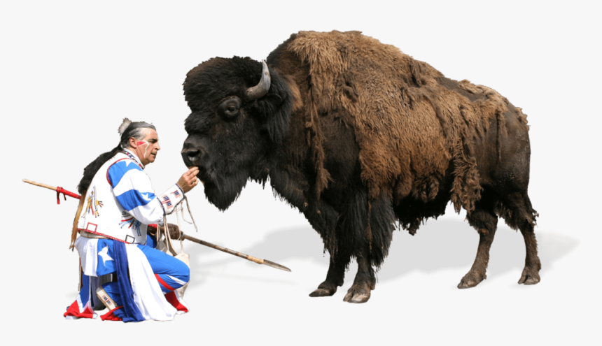 Indianer Bison, HD Png Download, Free Download