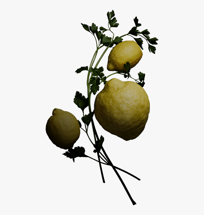 Sweet Lemon , Png Download - Sweet Lemon, Transparent Png, Free Download