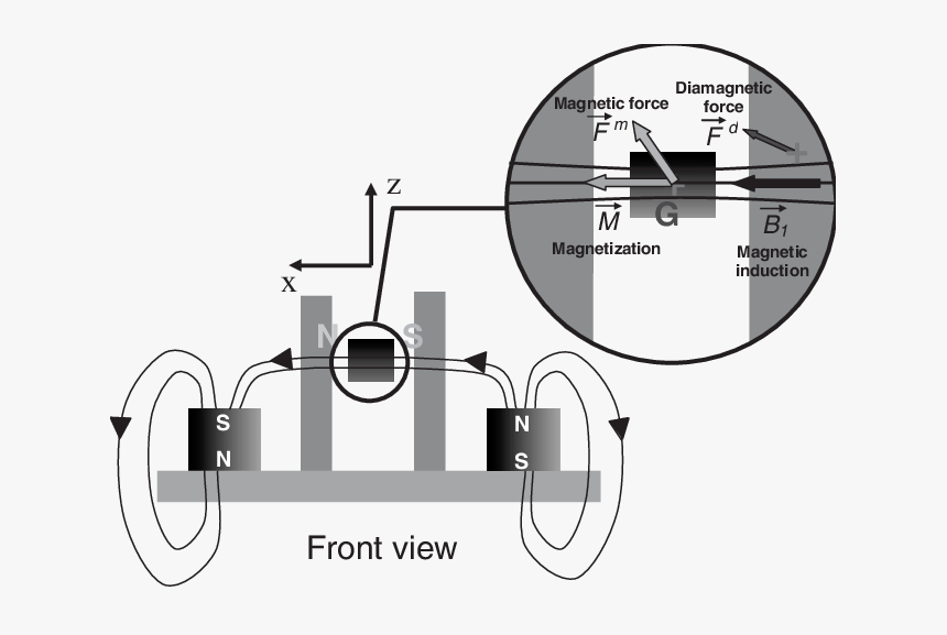 Diagram, HD Png Download, Free Download