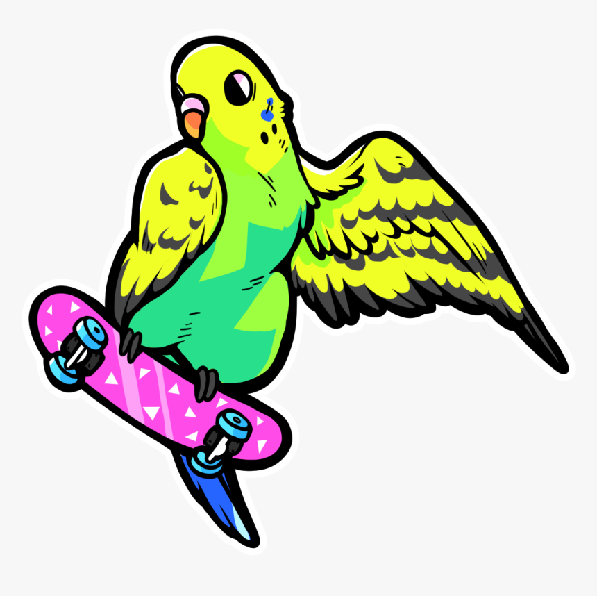 Budgie , Png Download, Transparent Png, Free Download
