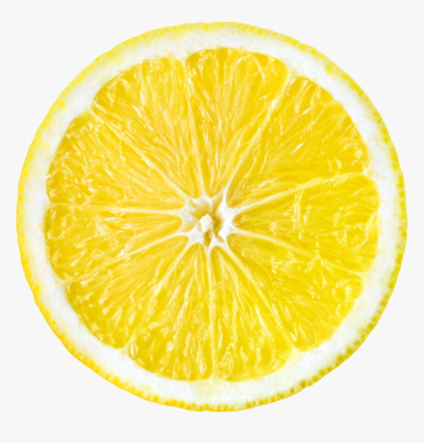 Lemon Drawing Clip Art - Draw A Lemon Slice, HD Png Download, Free Download