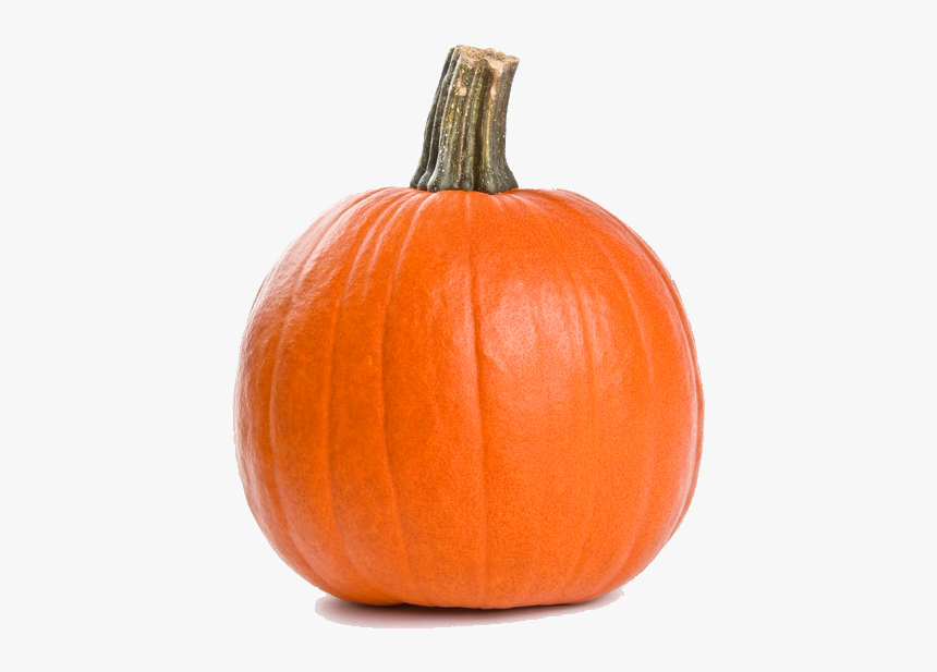 Sugar Pumpkin With Blank Background - Sugar Pie Pumpkin, HD Png Download, Free Download