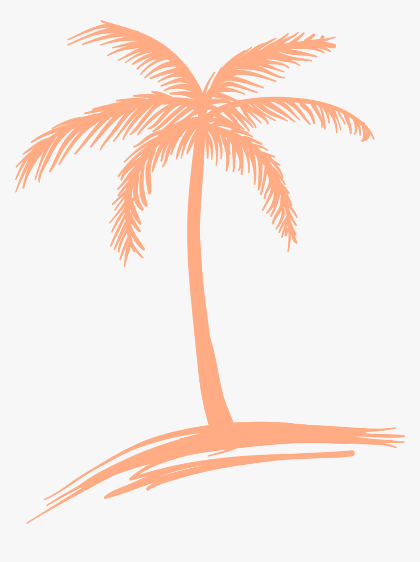 Peach Palm Tree Logo - Cute Palm Tree Drawings, HD Png Download, Free Download