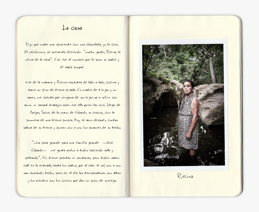 Indian Elephant, HD Png Download, Free Download