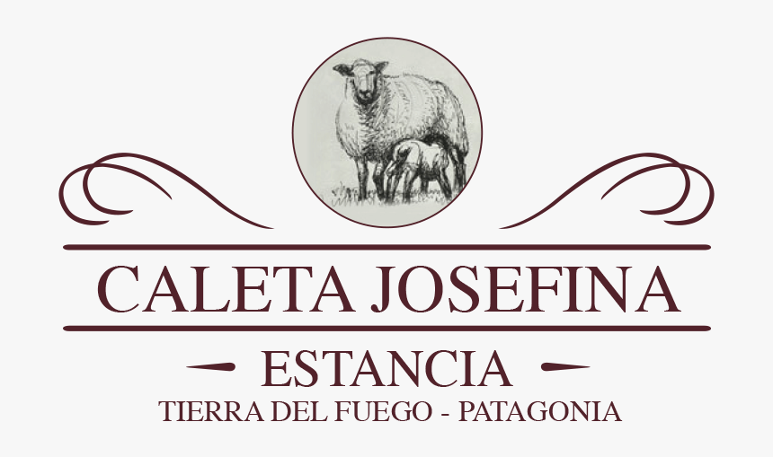 Estancia Caleta Josefina - Camel, HD Png Download, Free Download