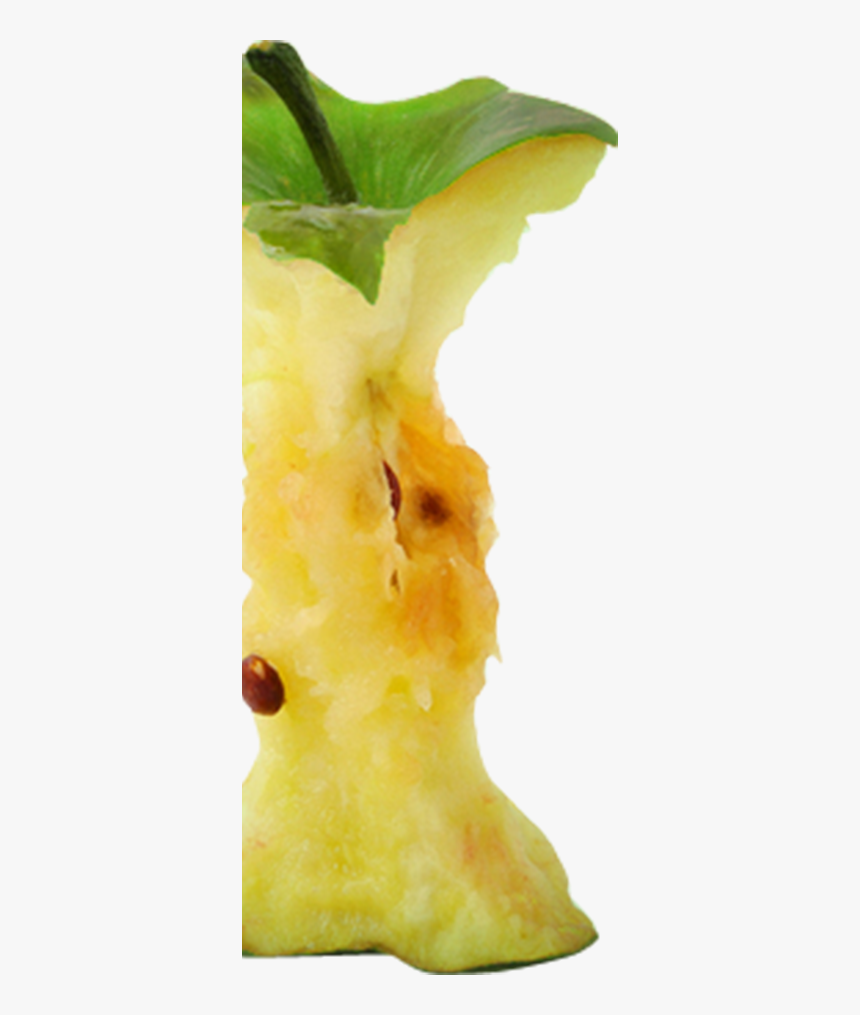 Fruit, HD Png Download, Free Download