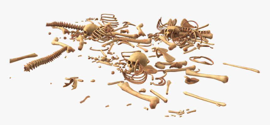 Pile Of Bones Png, Transparent Png, Free Download
