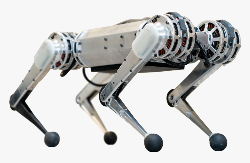 Арт динамикс. Бостон Дайнемикс Cheetah. Mit Mini Cheetah. Cheetah Boston Dynamics. Бостон Динамикс гепард