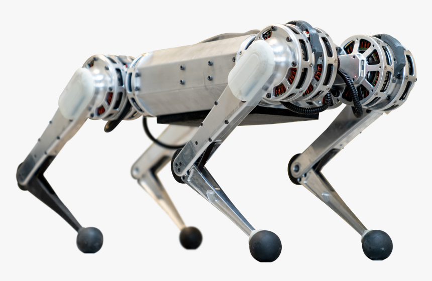 Mit Mini Cheetah, HD Png Download, Free Download