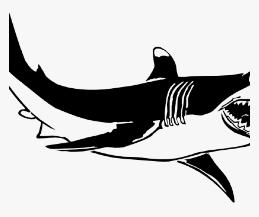 Transparent Smiling Shark Clipart - Black And White Shark Clipart, HD Png Download, Free Download
