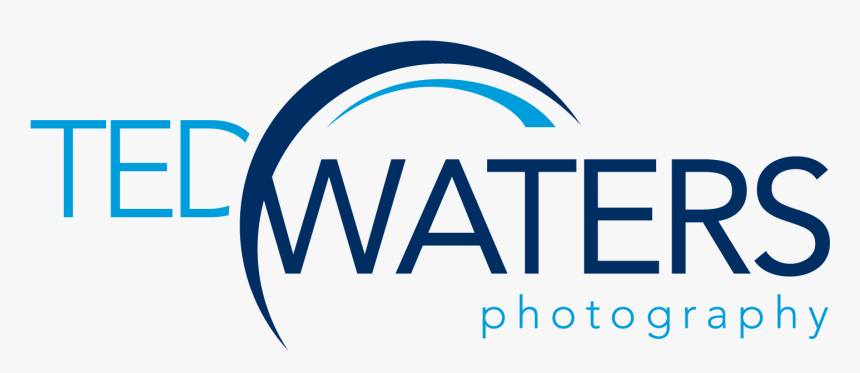 Logo Color Png, Transparent Png, Free Download