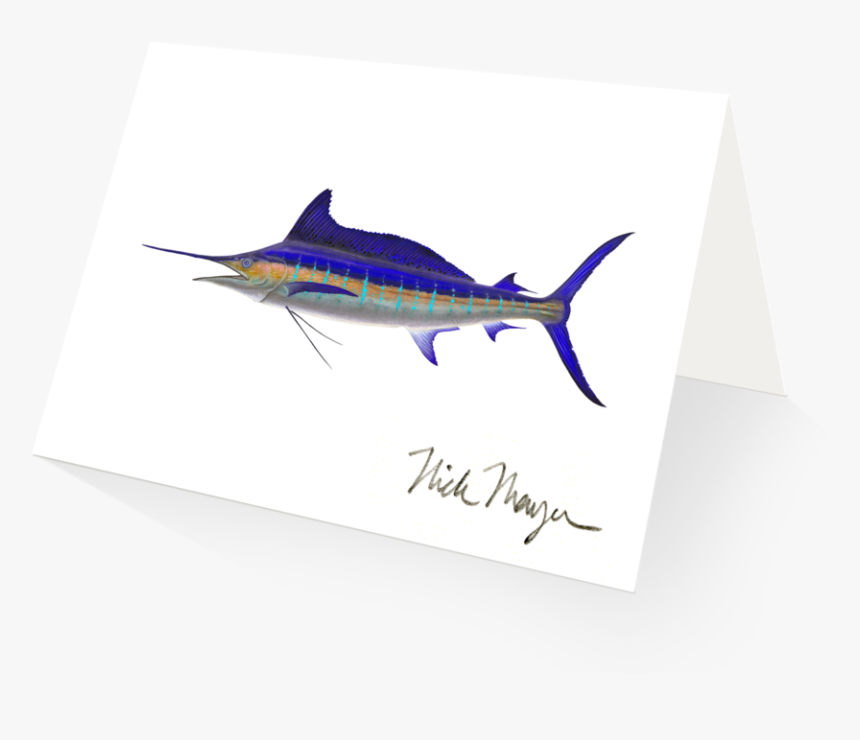 Striped Marlin - Atlantic Blue Marlin, HD Png Download, Free Download