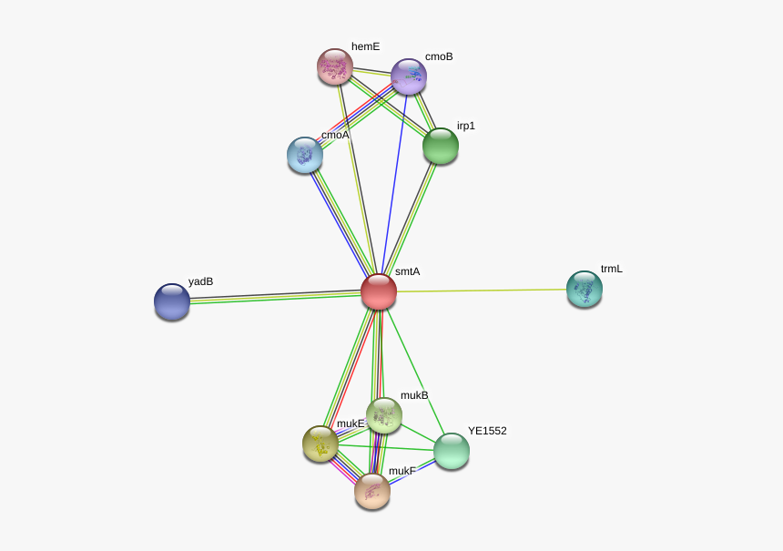 Smta Protein - Circle, HD Png Download, Free Download