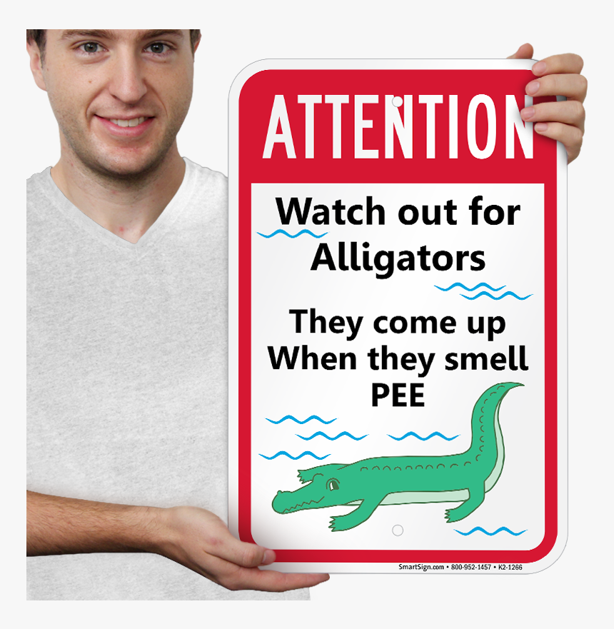 Parking, HD Png Download, Free Download