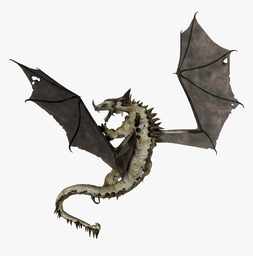 Dragon Png - Дракон Пнг, Transparent Png, Free Download