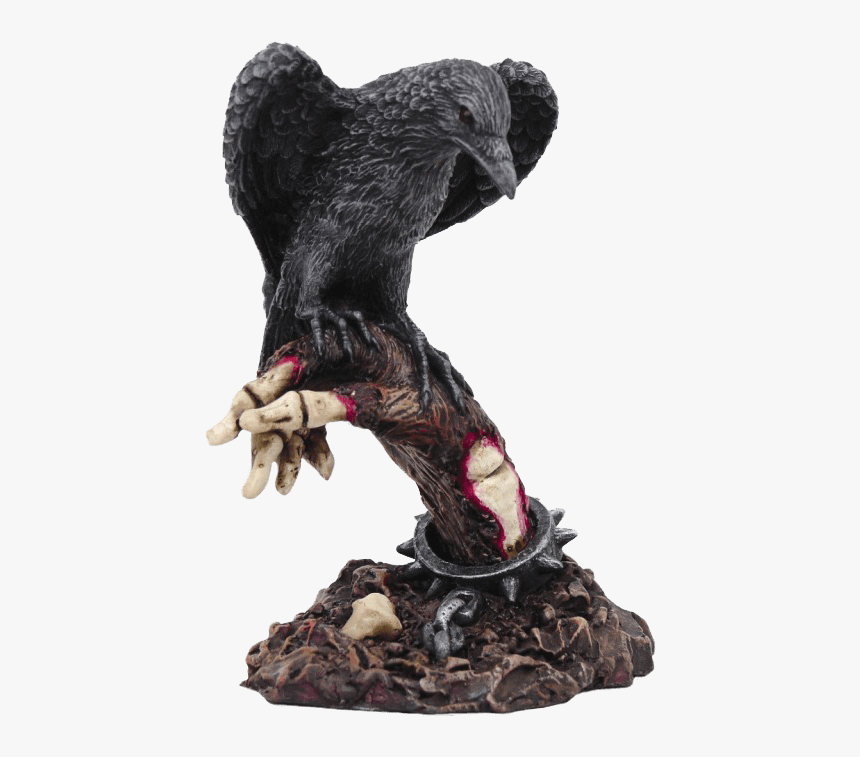 Raven With Skeleton Statue - Statue, HD Png Download, Free Download