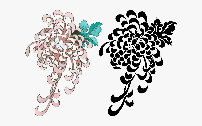 Chrysanthemum Flash In Both Black Graphic And More - Illustration, HD Png Download, Free Download