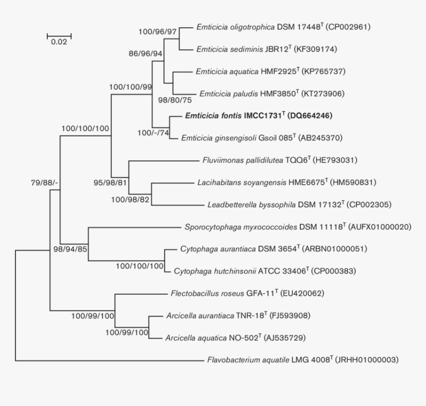 Document, HD Png Download, Free Download