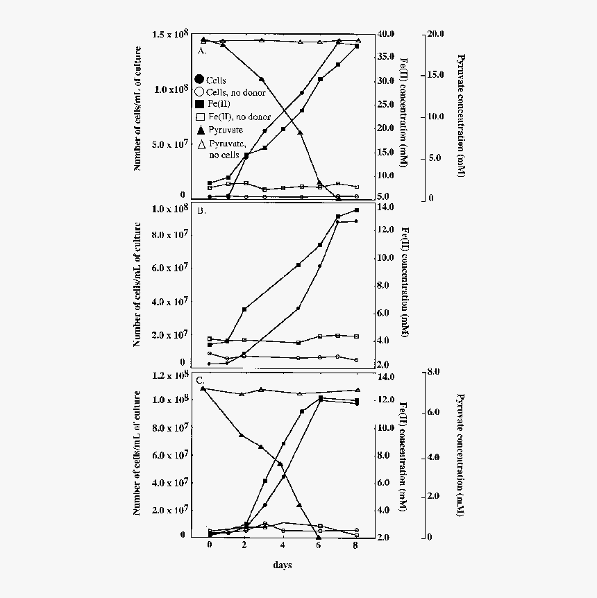Diagram, HD Png Download, Free Download