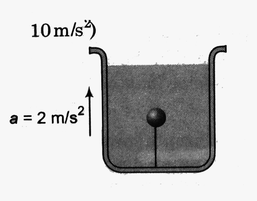 Leather, HD Png Download, Free Download