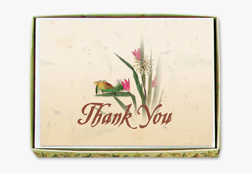 Cricket Thank You Cards Image - Heliconia, HD Png Download, Free Download