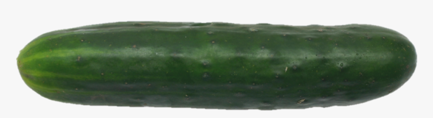 Cucumber Png - Cucumber, Transparent Png, Free Download