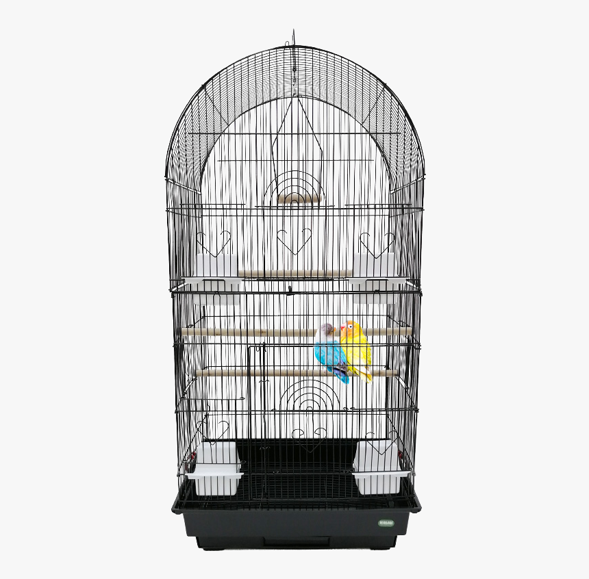 Bird Cage, HD Png Download, Free Download